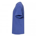 Comfort Colors Men's Adult Short Sleeve Tee Style 1717 (Large Royal Blue l)