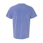 Comfort Colors Men's Adult Short Sleeve Tee Style 1717 (XX-Large Periwinkle)