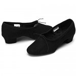 DKZSYIM Women's Latin Dance Shoes Ballroom Performance Shoes Model 101
