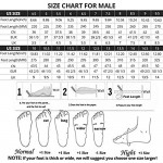 LI-NING Men Wade The Sixth Professional Basketball Shoes Lining Breathable Anti-Slip Athletic Shoes ABAN023 ABAP017