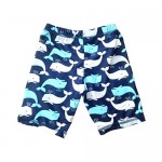 DELight Boys' 2-Piece Swimsuit Trunk and Rashguard with Blue Dolphin Pattern Navy 3-4 Years