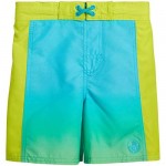 Body Glove Boys' Rash Guard Set - 4 Piece UPF 50+ Short Sleeve Swim Shirt and Bathing Suit Swimsuit Set (Little Boy)