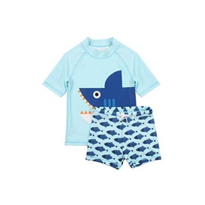 Dilon Two Pieces Swimwear Swimsuits for Boys Bathing Suits Kids Short Sleeves Bathing Suits Kids