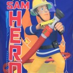 Fireman Sam Boys' Sam Two Piece Swim Set