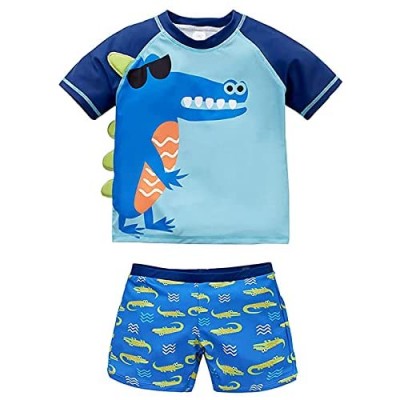 Toddler/Little Boys 2-Piece Rash Guard Swimsuit Set